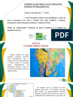 Aula 8 - 7º CN - Dinâmica de Placas Tectônicas e Os Efeitos Na Superfície Terrestre