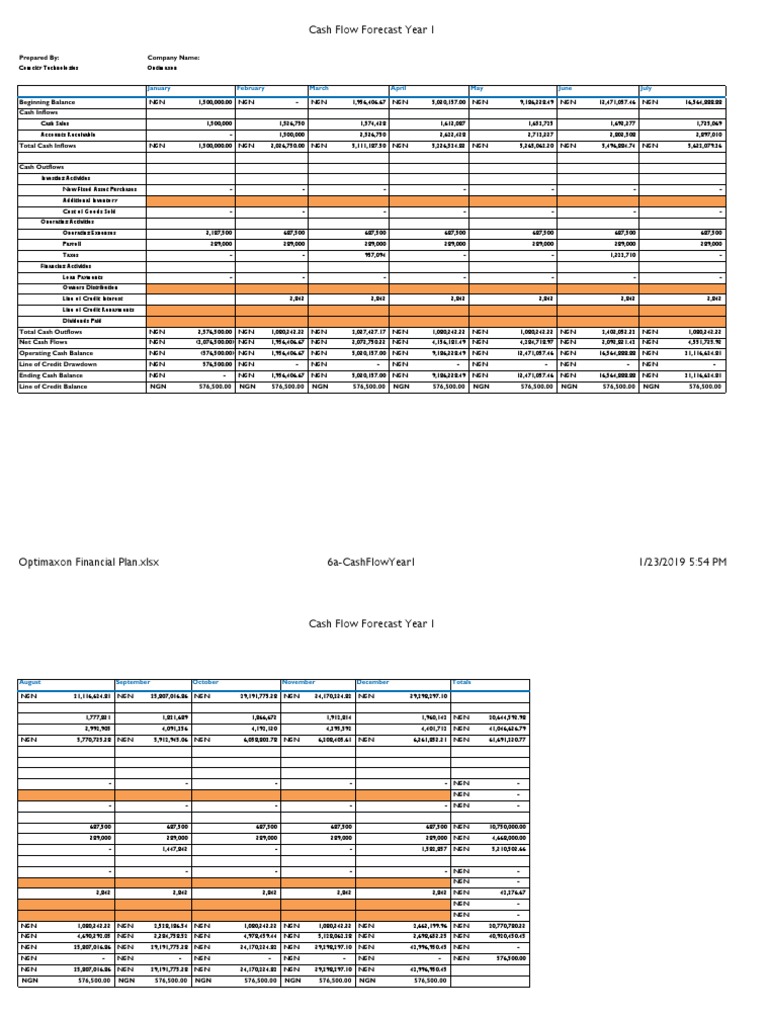 Year 1 Cash Flow Forecast Analysis | PDF | Line Of Credit | Cash