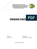 Ensayo Vi Psicologia Evolutiva PDF