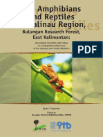 Amphibians and Reptiles of Malinau Region