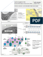 2 Support Lecon 2 Ultrastructure Cellulaire
