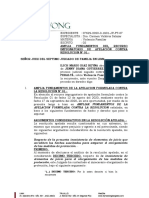 Amplia Fundamentos de Apelacion + Adjunta Pruebas de Violencia Psicologica + Pericia Psicologica + Caso Acuña VS J Gutierrez