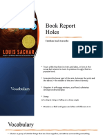 Book Report HOLES