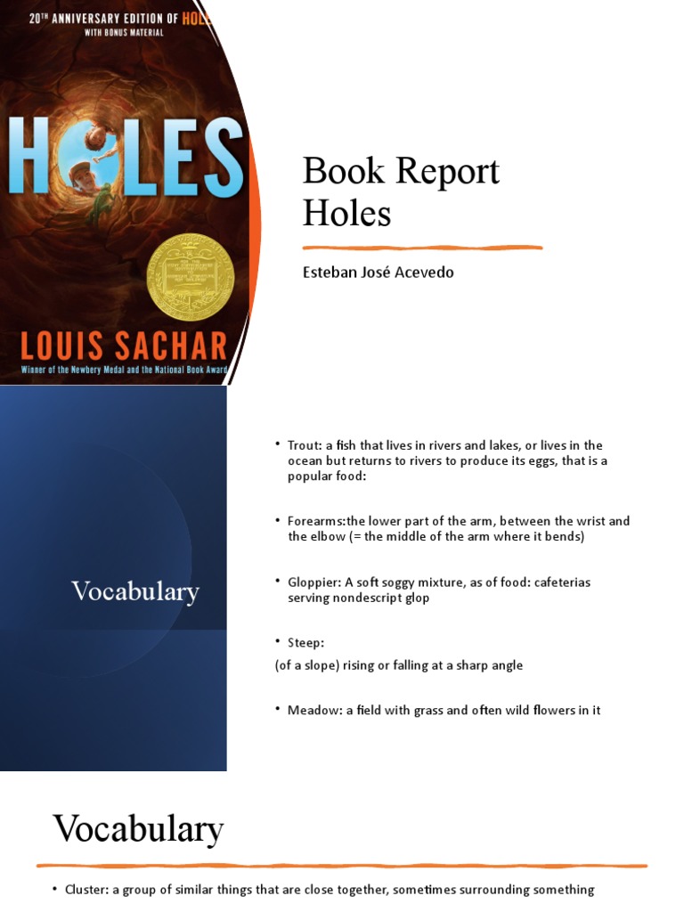 Book Report HOLES PDF