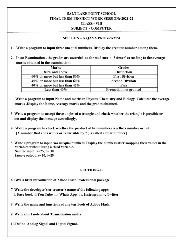 Class VIII Computer Project on Java | PDF