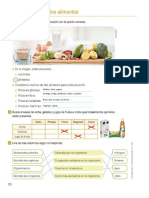 Composicion de Los Alimentos - Actividad Santillana 1