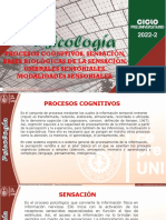 Procesos cognitivos y sensación: bases biológicas