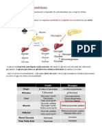 Regulação hormonal do metabolismo e neurotransmissores