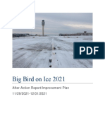 Big Bird On Ice 2021 AAR