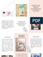 Cuidados Post Parto y de Cesárea, Educación Sobre La Placenta y Sus Tipos Flyer Negocio Profesional Minimalista Moderno Pastel