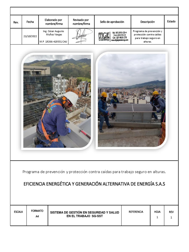 Programa de Prevención y Protección PDF