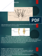 MICROSPOROGENOSIS