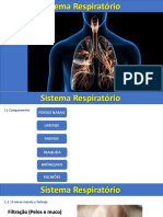 Aula 1 Sistema Respiratorio