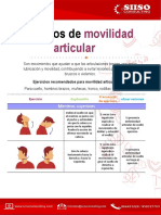 Pausas Activas - Movilidad Articular