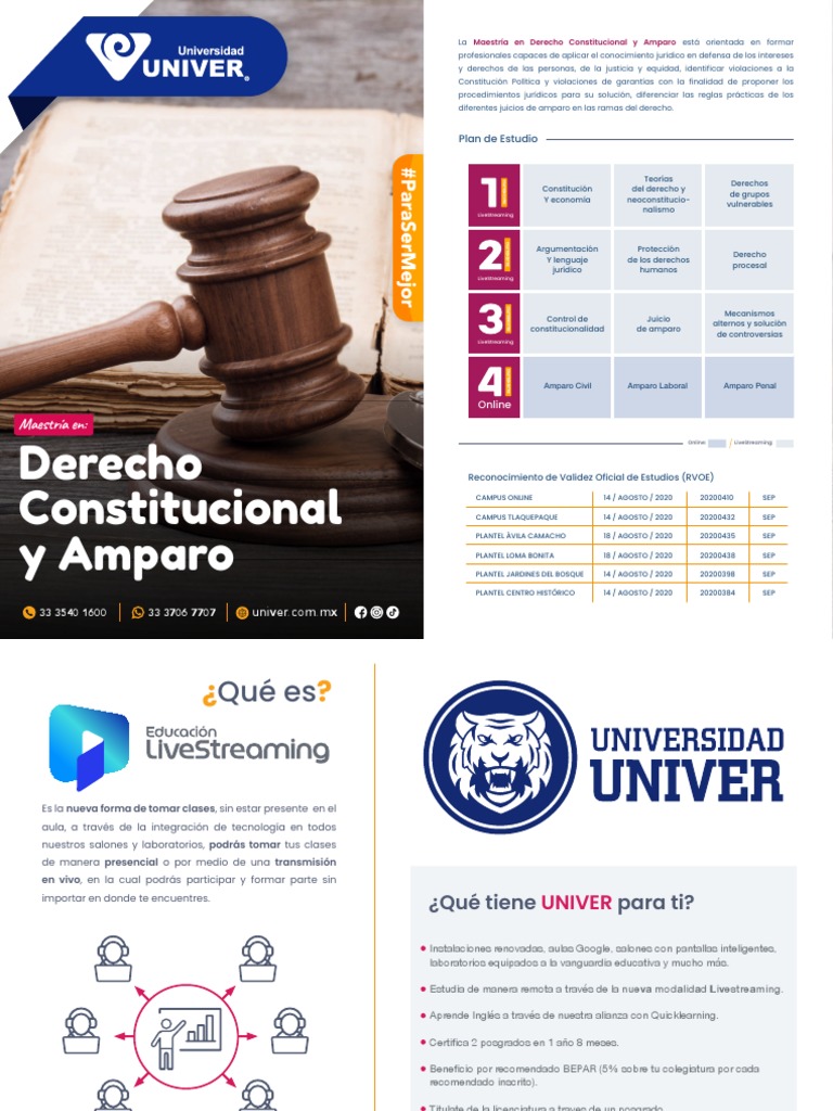 Maestría en Derecho Constitucional y Amparo | PDF | Constitución | Justicia