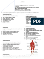 Prueba 1