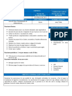 Formato Diseño Perfil de Puesto