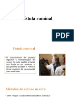 Fístula Ruminal