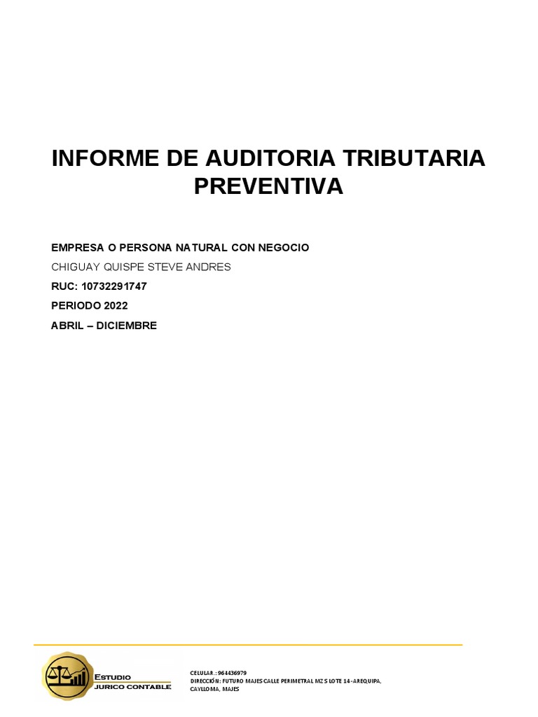 Informe De Auditoria Tributaria Preventiva 17 Pdf Economias Comercio