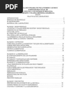 Download Practicas de Lab Oratorio de Ciencias 1 by Evo SN62778632 doc pdf