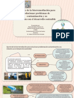 Biorremediacion para Solucionar Problemas de Contaminacion