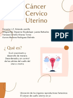 Cáncer Cervico Uterino: Causas, Síntomas y Detección Temprana