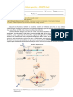 Ficha de Ampliação B3