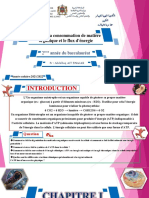 1 La Consommation de Matière Organique Et Le Flux D'énergie