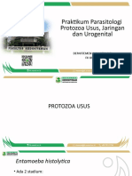 PPT Praktikum Protozoa S1 Biomedik