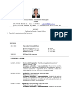 CV Jorge Luis Mayor Sánchez