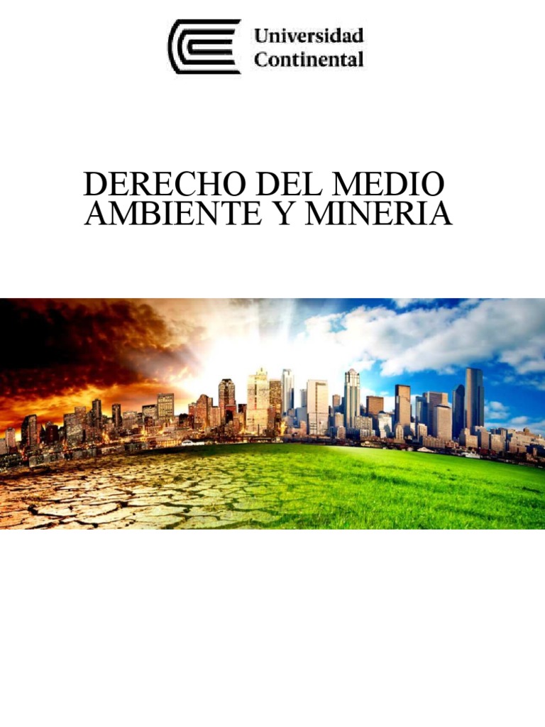 Derecho Del Medio Ambiente y Mineria - Producto Academico N°1 | PDF ...