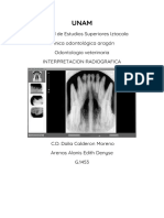 INTERPRETACION RADIOGRAFICA-ArenasAlanisEdithDenyse