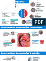 Sesión Asincrónica - Pediatría y Neonatología II