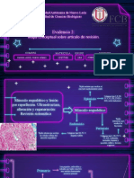 Evidencia 2.mapa Conceptual Sobre Artículo de Revisión