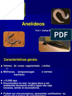 Anelideos - PDF Ok