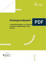 Hintergrundpapier Zu Gasinfrastrukturen TransHyDE Final