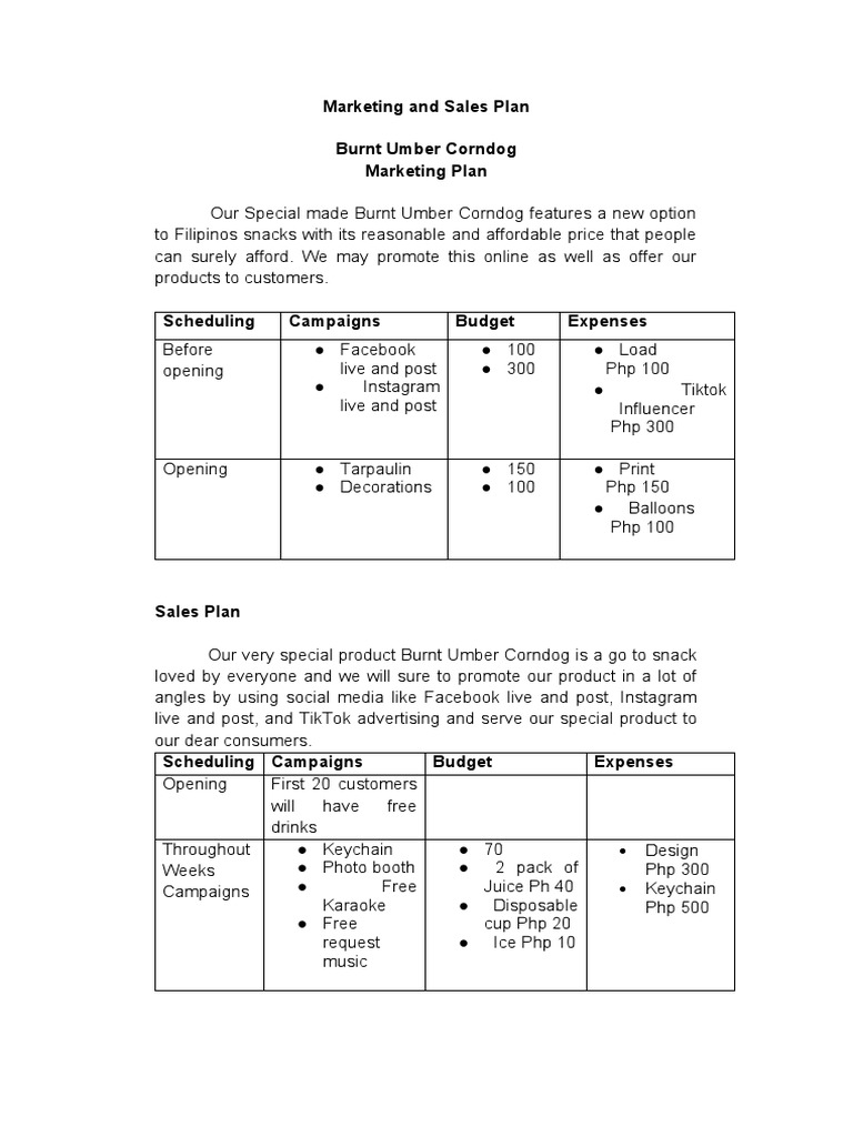 marketing-and-sales-plan-app-004-pdf