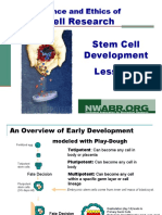 Stem Cell