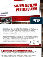 Crisis Del Sistema Penitenciario