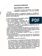 Nacimiento e Hijo Menor A Cargo - Asignacion Familiar