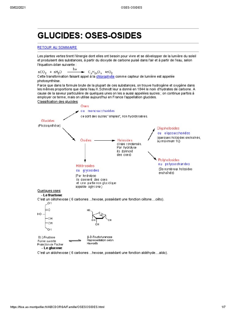 Classification des Oses et Osides | PDF | Glucide | Glucose