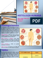 Histología humana: Tejidos y sus funciones
