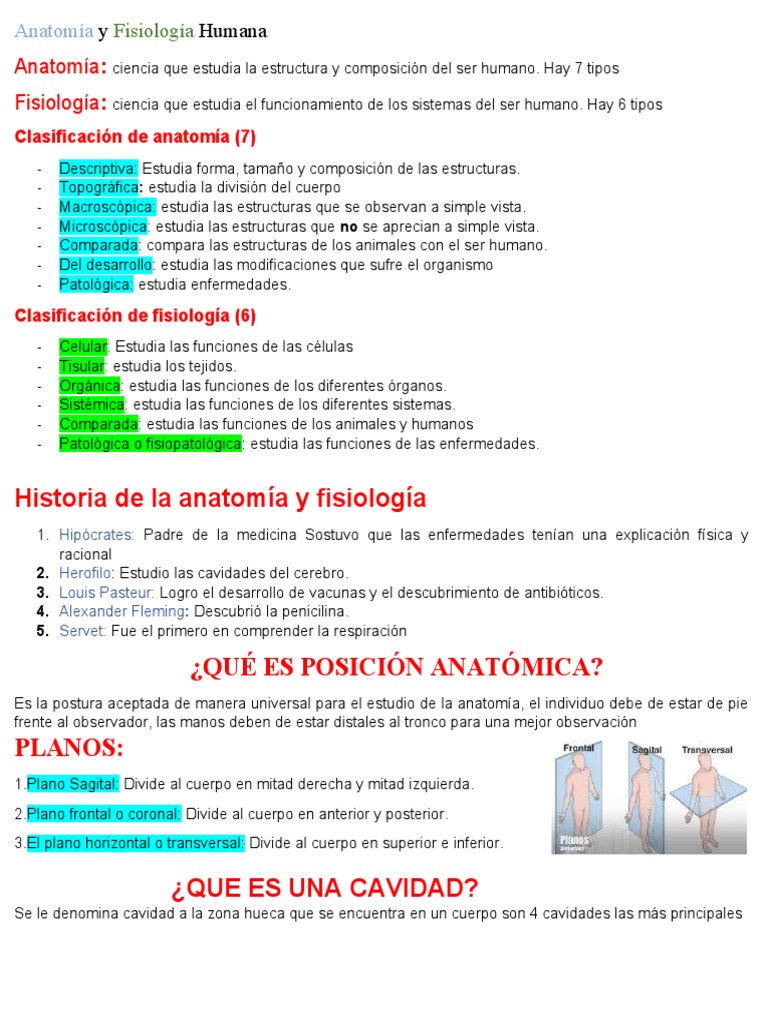 Anatomy visual data 2