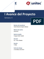 Avance Del Proyecto I