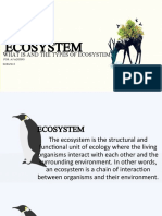 Types of Ecosystem