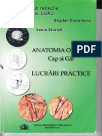 G Lupu Anatomie Cap Si Gat Compress