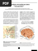 16-29 Neurociencia