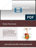 Sistem Pencernaan