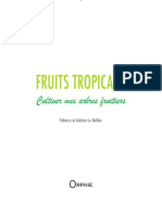 Int Fruits Tropicaux Extraits