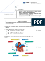 Sistema Circulatório